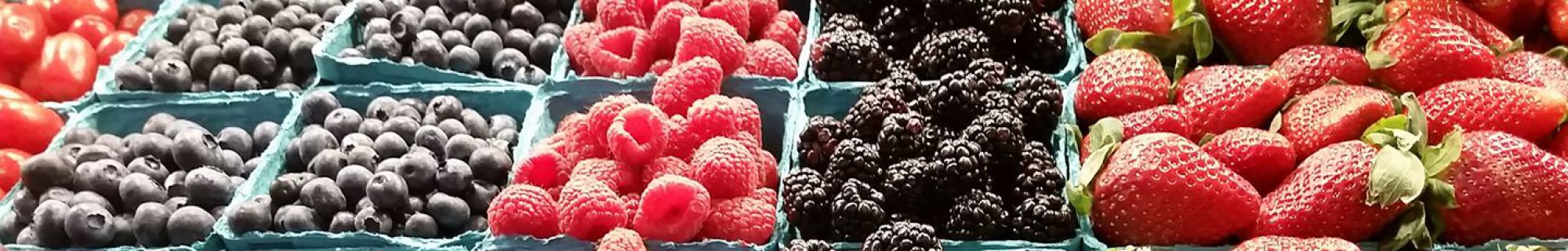 Columbus Nutrition Counseling ~ Nourish Your Body ~ Heal Your Relationship With Food